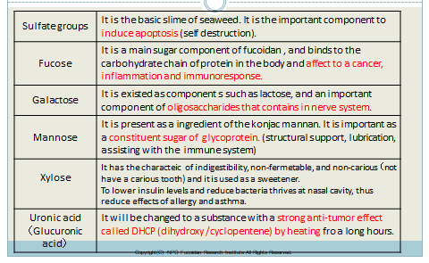 components and effects of sulfated polysaccharides 