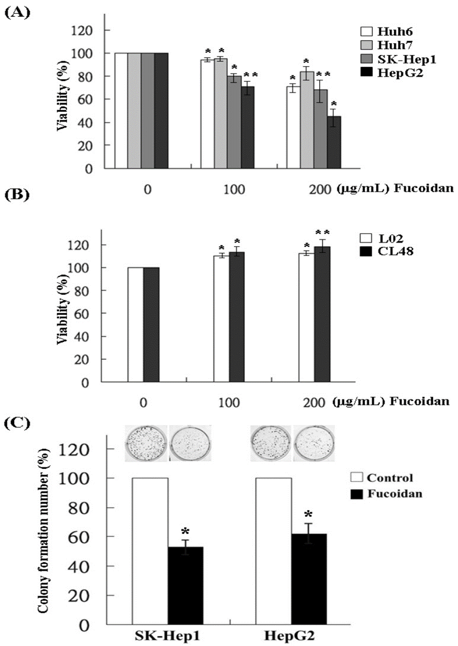 Fucoidan Inhibits EMT in Human Hepatocellular Carcinoma Cells | Cancer ...